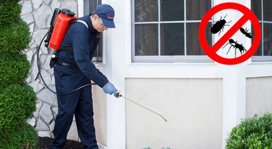 Kulu Fare İlaçlama böcek ilaçlama ve haşere kontrolü — ilaclama-tr.com